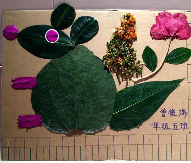 曾俊瑞妈妈