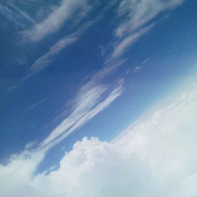 书友20160309225239