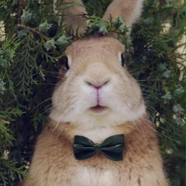 书友20160320160720