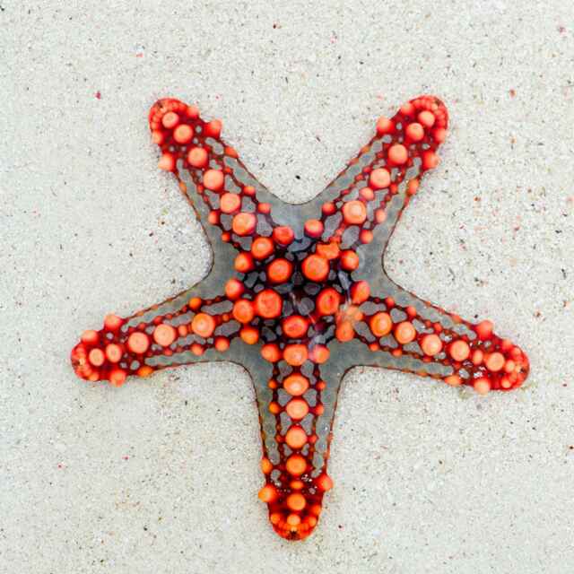 A宁静致远（songyucui）