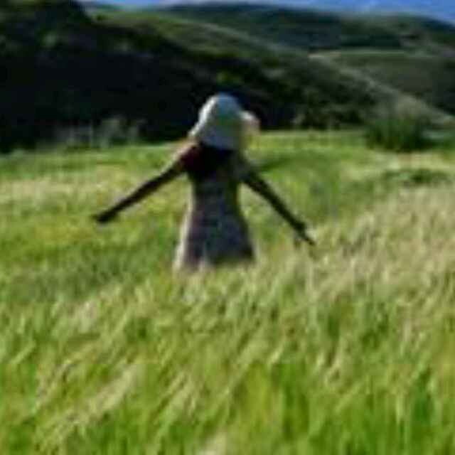 书友20160519094420