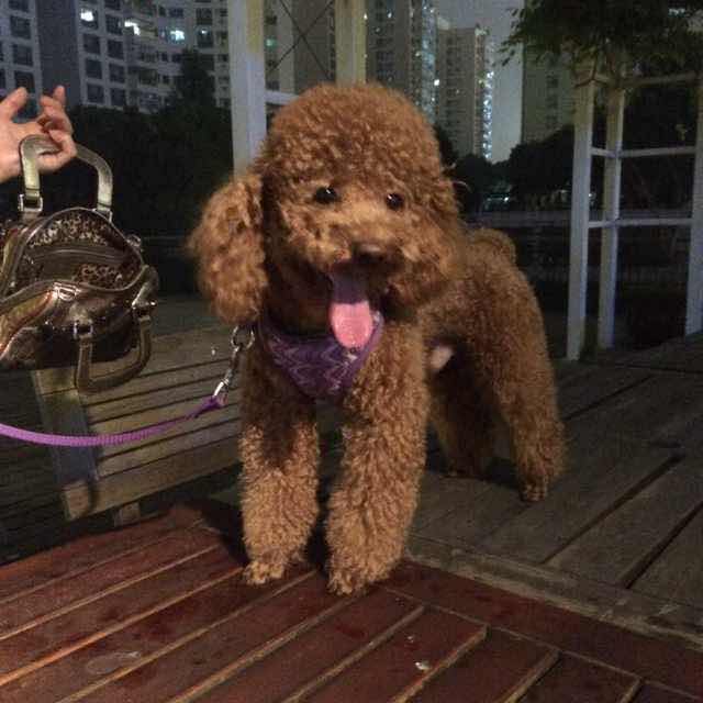 书友20160806014255