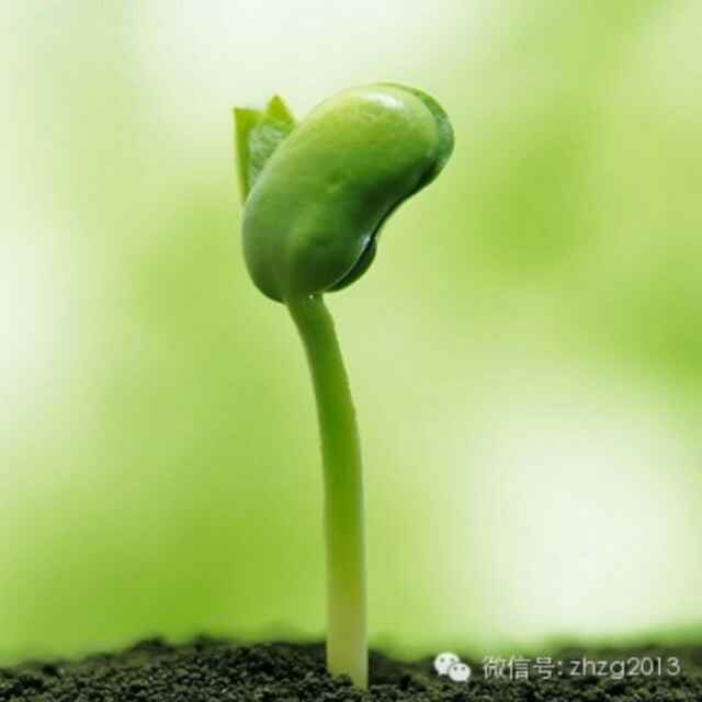 书友20160220234017