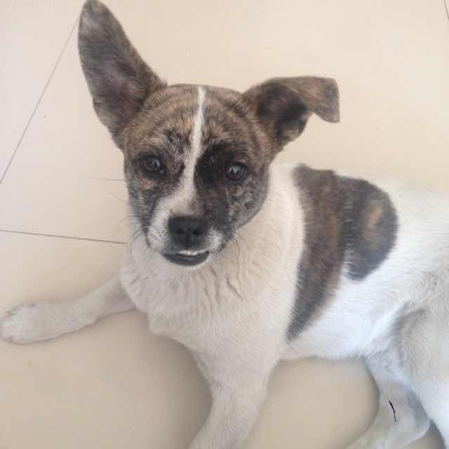 书友20160925152115