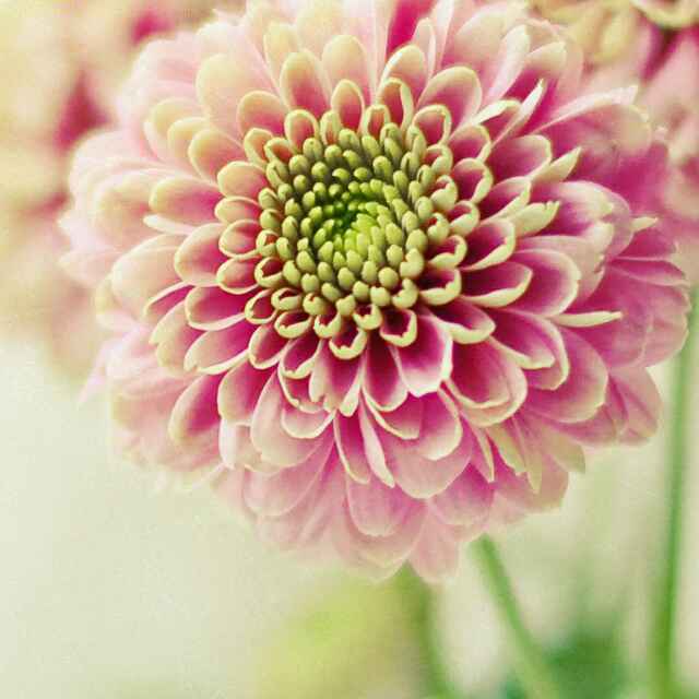 书友20160904223614