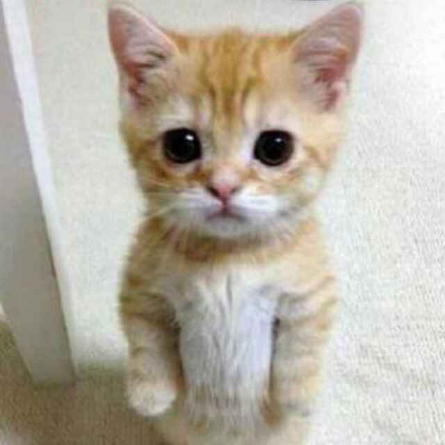 书友20170222075030