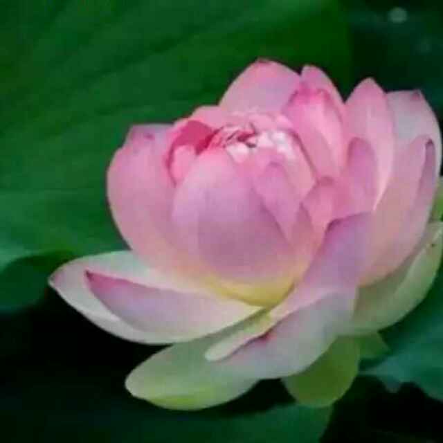 书友20160817161401