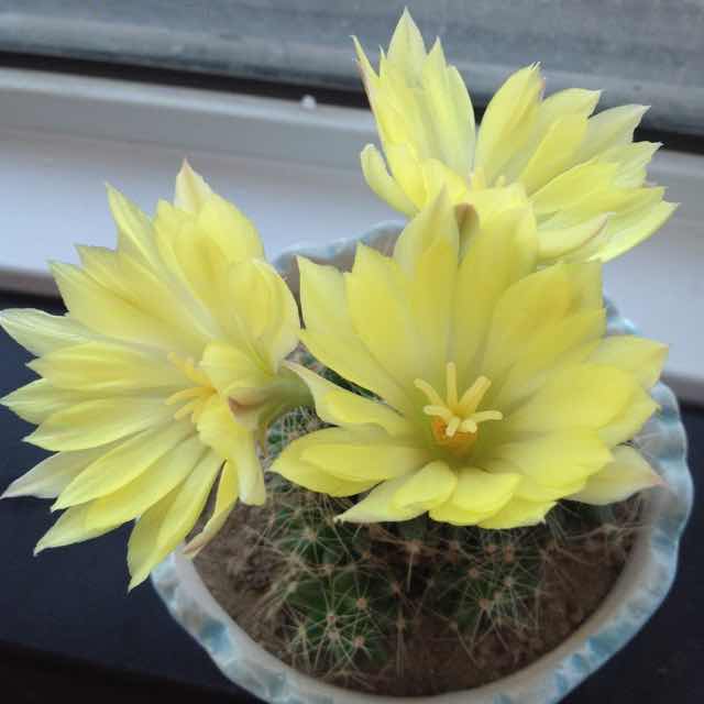 书友20160206152735