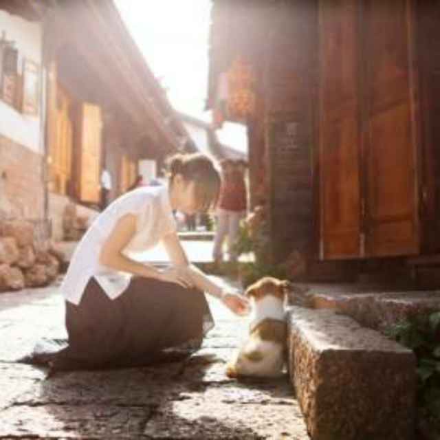 书友20161212091955