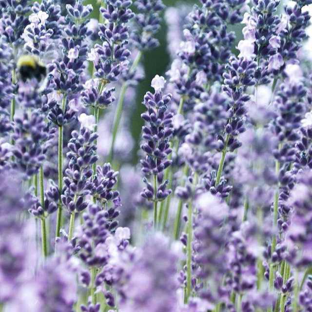 书友20160313223051