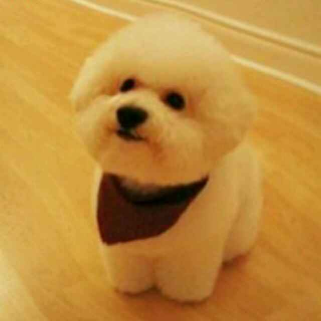 赵姐的头像