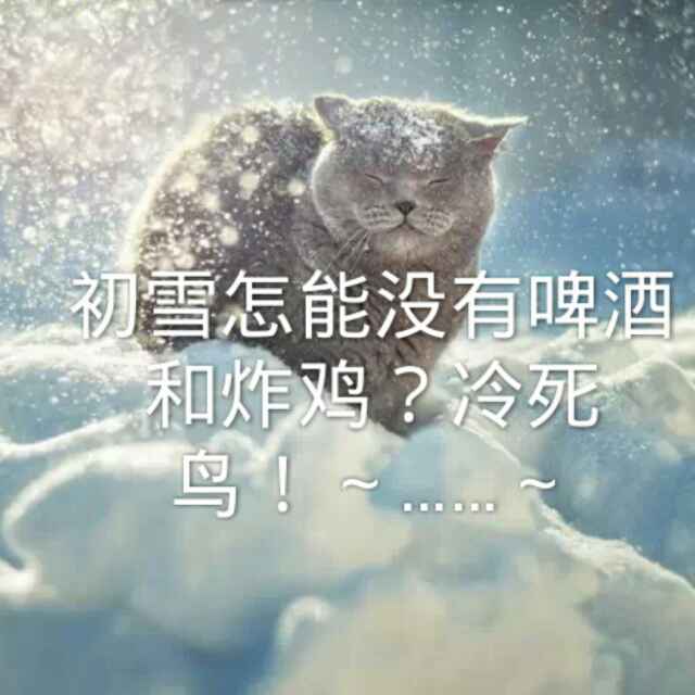 龙珠的头像