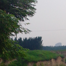 大爱