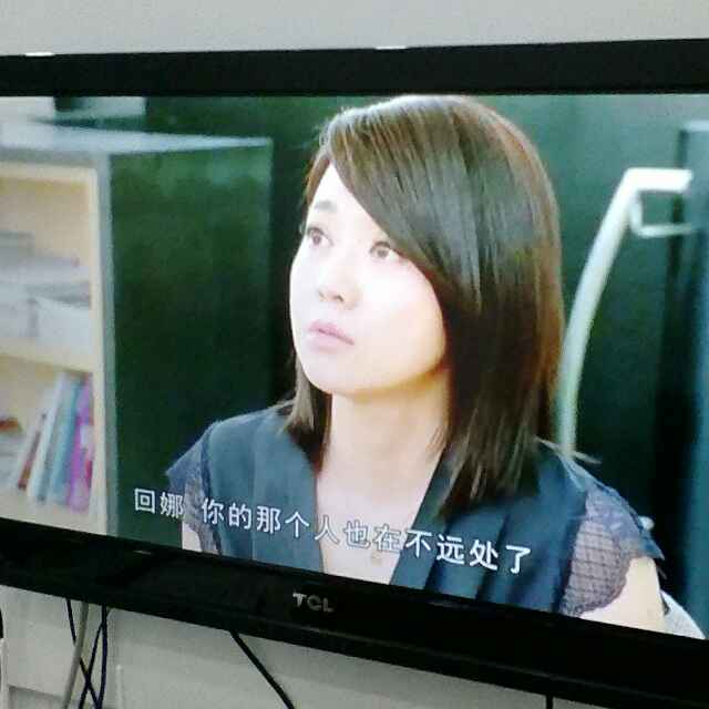 庭桂