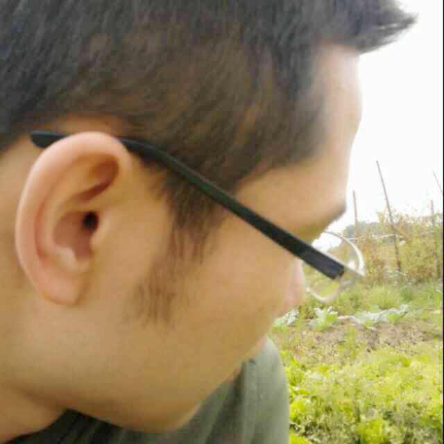 陈chj