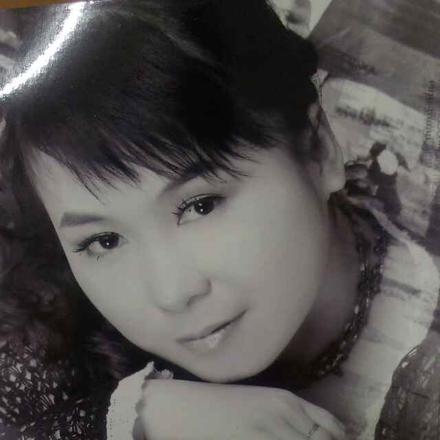 暗夜精灵