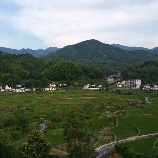 坎坎筏檀兮