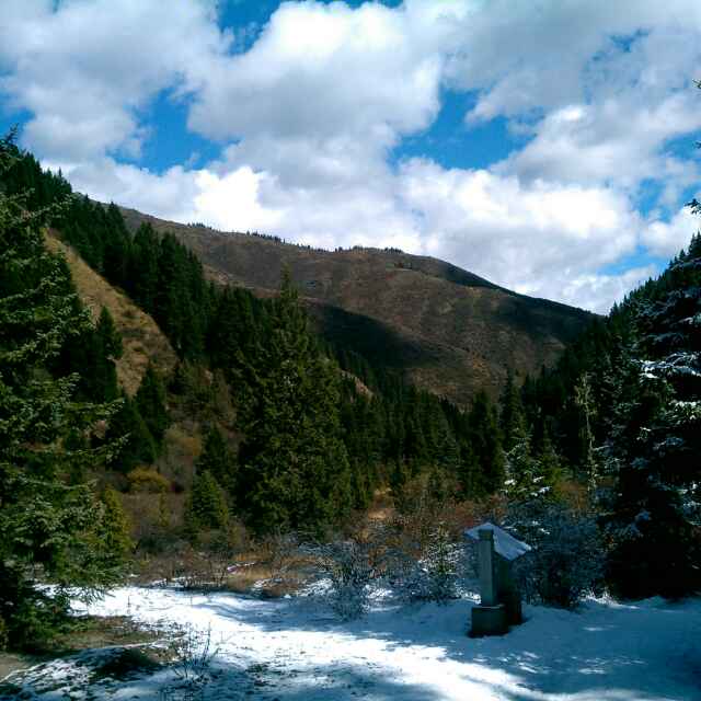 丁安磊，起重机，抛丸机，喷砂机。