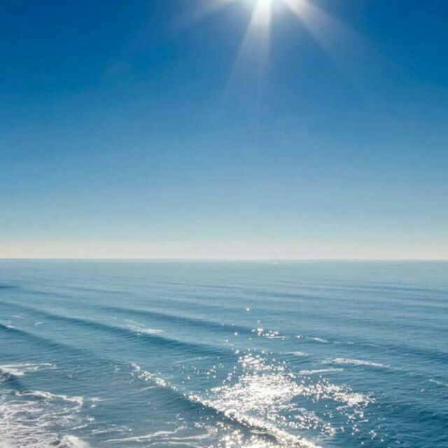 海松