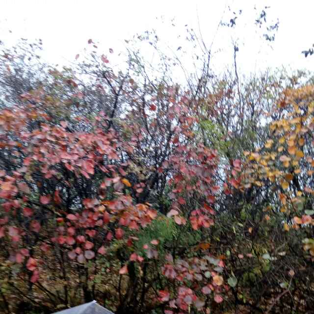 雨天有故事