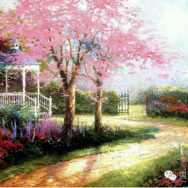 马苓桓