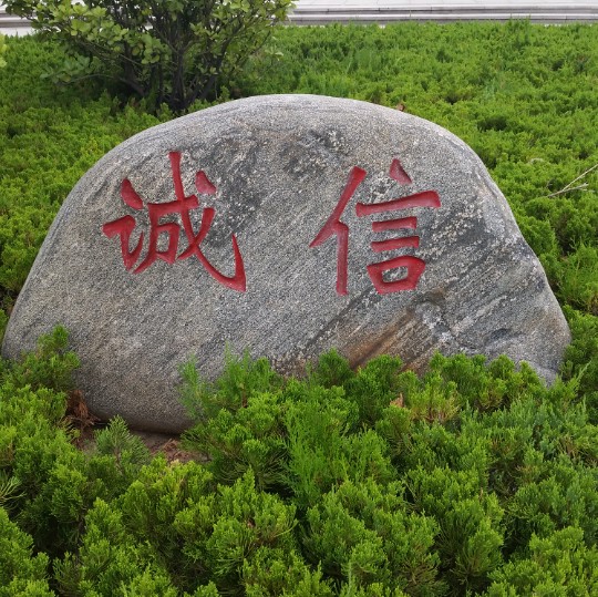 大智