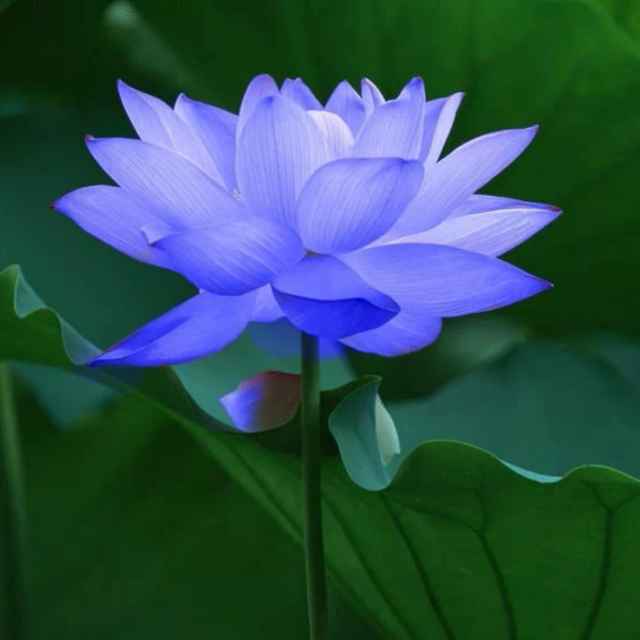 时间海