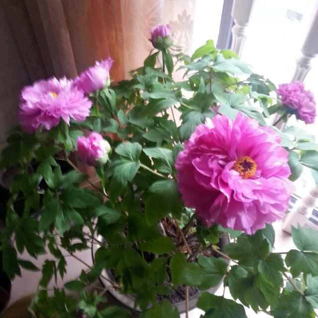 书友20161209224158