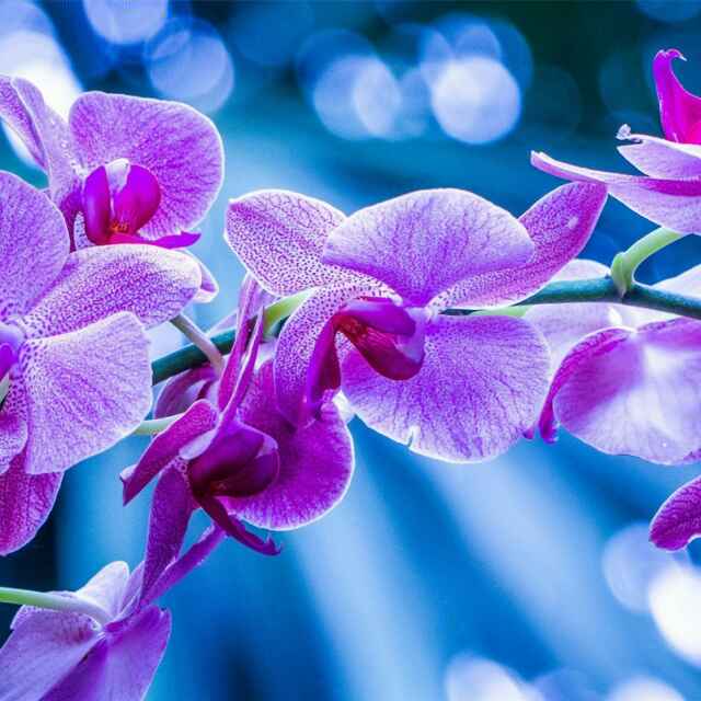 书友20160520070008