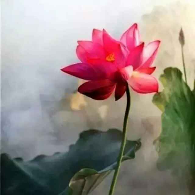 书友20160605135558