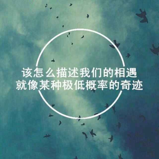 用户头像