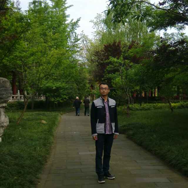 何柳
