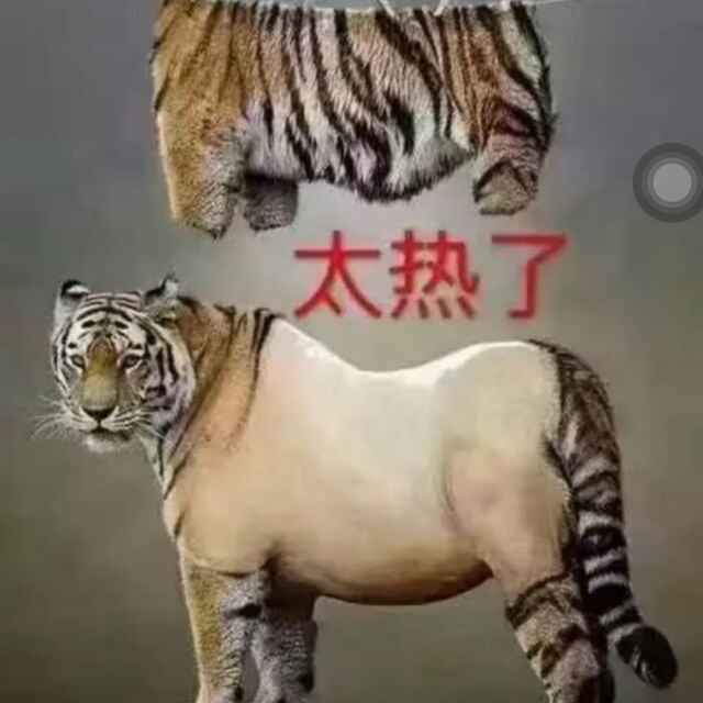 信任_5211