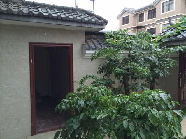 石头