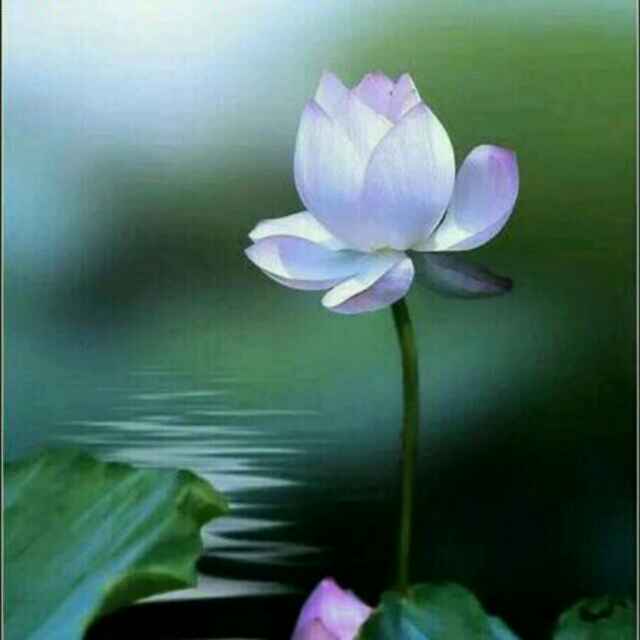 水木生煜
