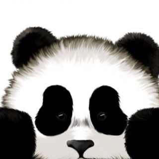 晓曦