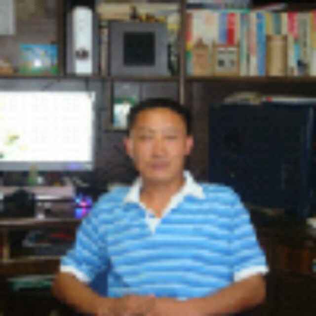 紫旭飞仙