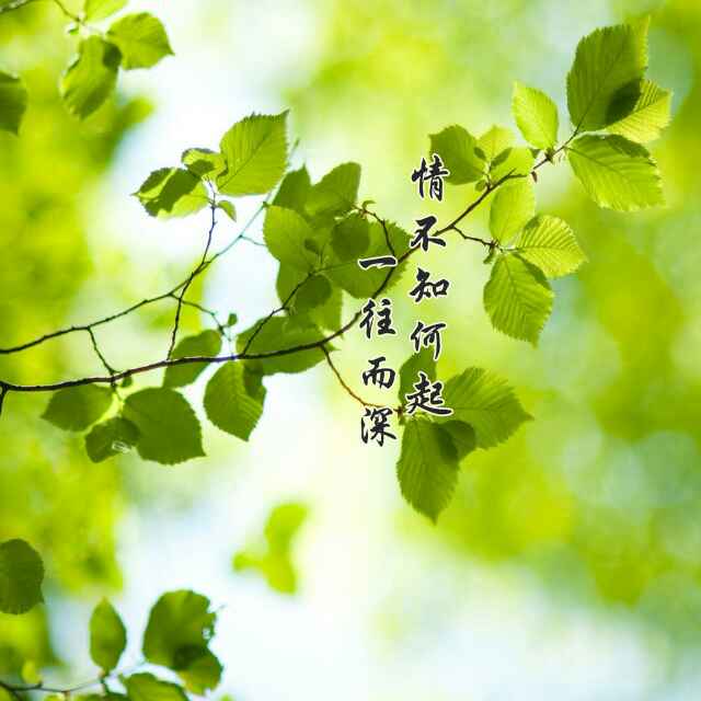 月牙新