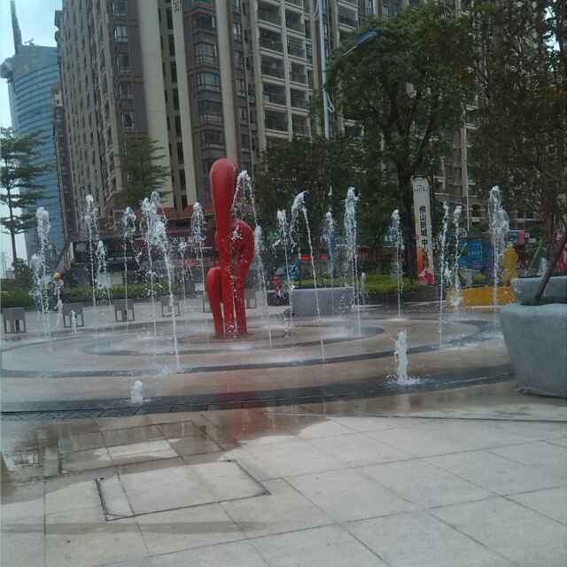 小海豚_28482742