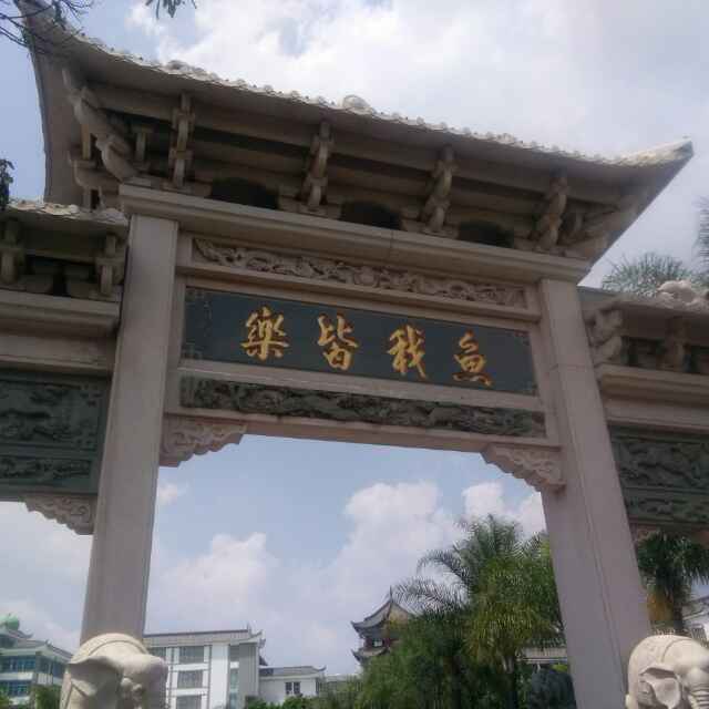用户头像