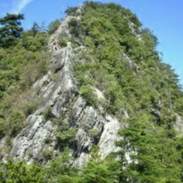 陇兴