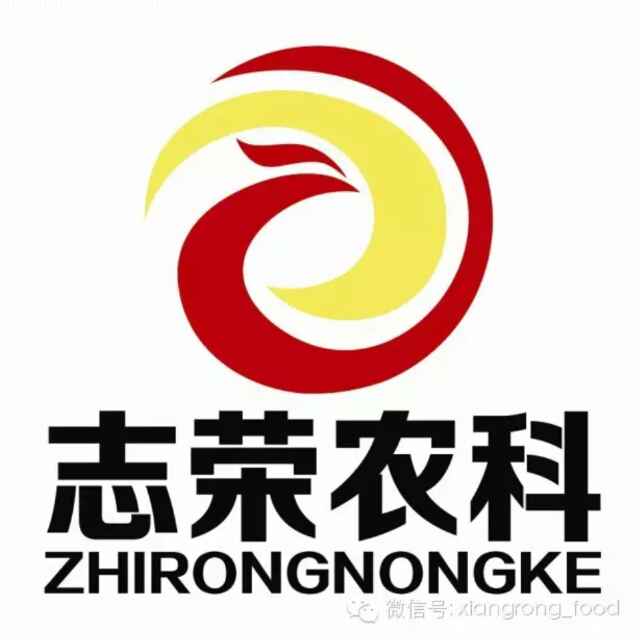 老妈子