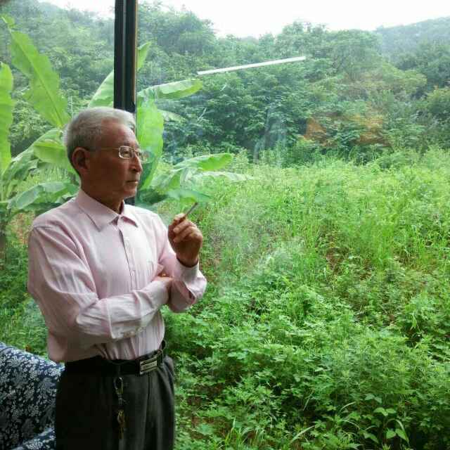 高云一云族在线企划部