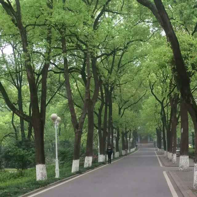 青水