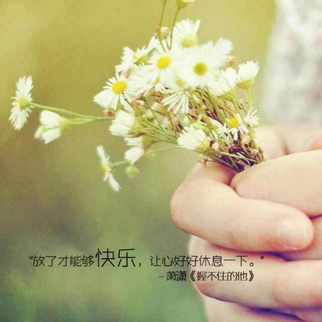 风流才子