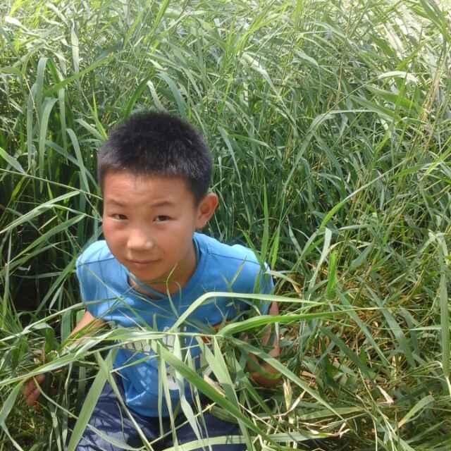 云中行