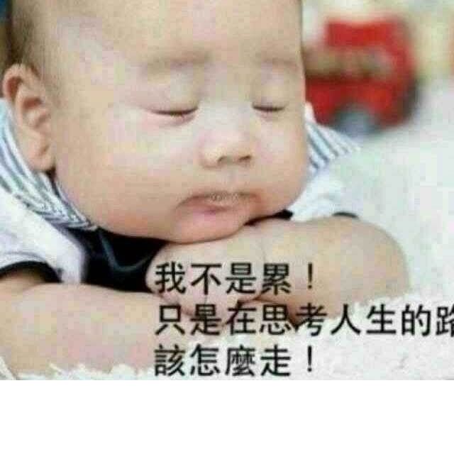 风之叮咛