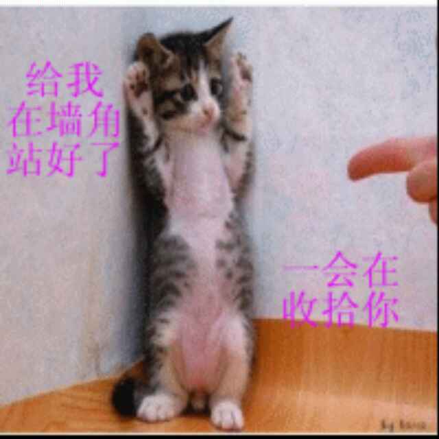 我是小汤媛