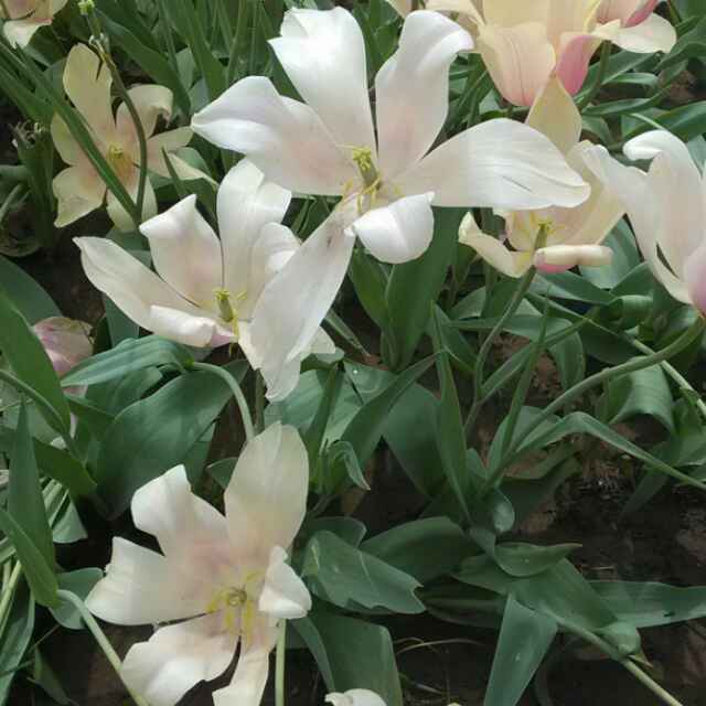一y抹阳光