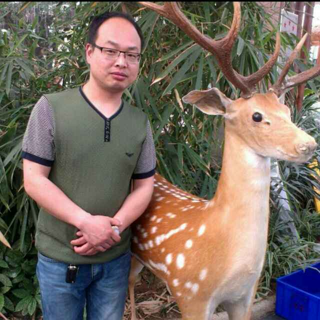 石头